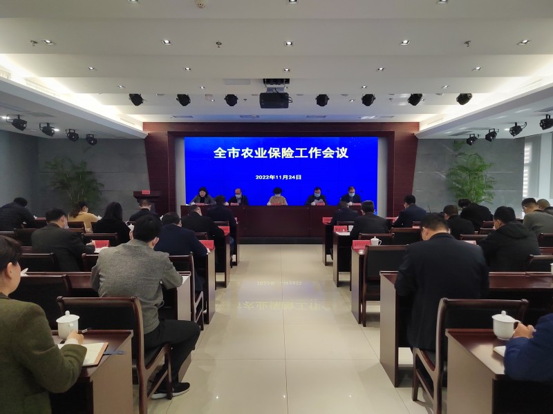 踔厉奋发 勇毅前行——全市农业保险