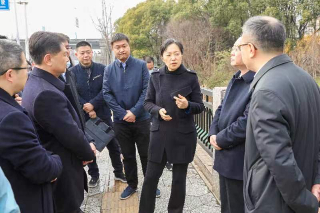 盛蕾“四不两直”督查水环境治理工作
